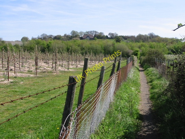 Photo 6"x4" The Stour Valley Walk, looking in the direction of Canterbury Canterbury\/TR1457 c2008