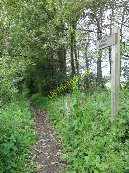 Photo 6"x4" Path to River Clyde shore at Cardross Kelhurn c2011