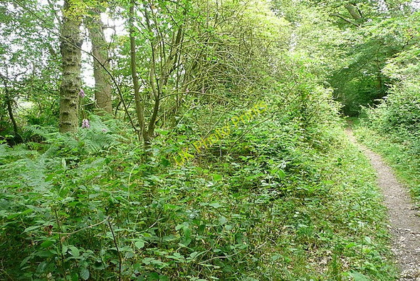 Photo 6"x4" Other route with public access Browninghill Green c2011