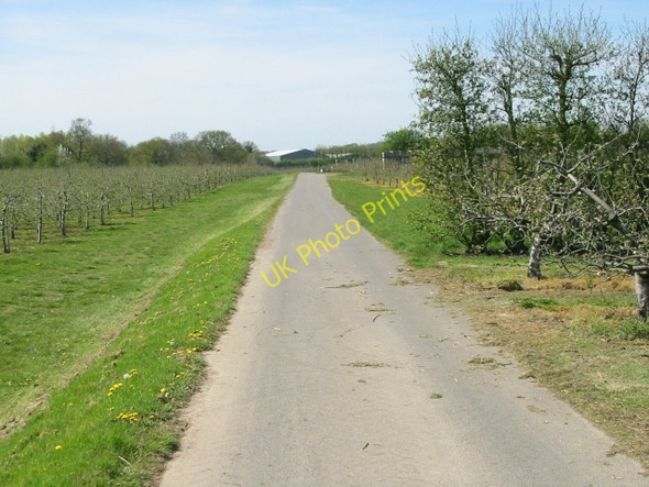 Photo 6"x4" Farm road and part of the Stour Valley Walk Chartham Hatch c2008