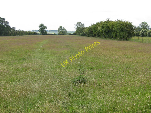 Photo 6"x4" Footpath through a meadow, Harome Harome c2011