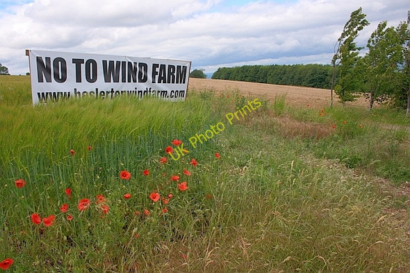 Photo 6"x4" Poppies at edge of Barley Field Sherburn\/SE9577 c2011