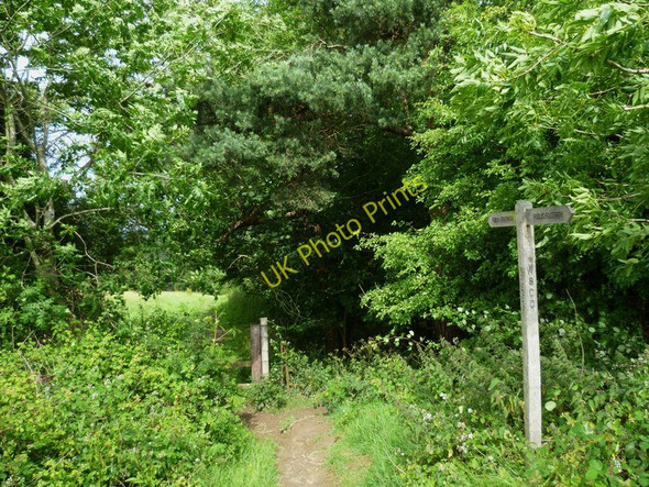 Photo 6"x4" Signpost on footpath near Ardingly Ardingly c2011