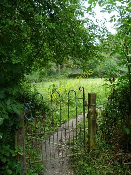 Photo 6"x4" Footpath gate near Withyland Ardingly c2011