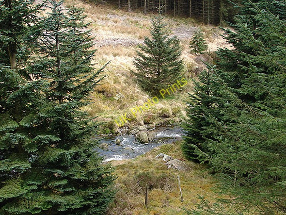 Photo 6"x4" Afon Diliw Cefn\/SN8477 c2008