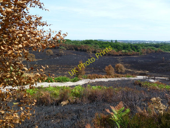 Photo 6"x4" Upton Heath, site of fire ii) Beacon Hill\/SY9794 c2011