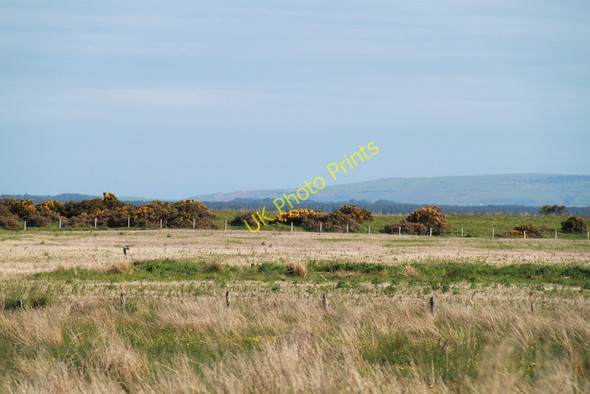Photo 6"x4" Flat fields Dornoch c2011