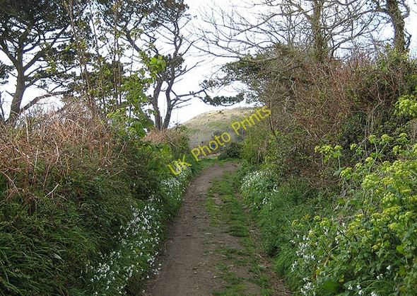 Photo 6"x4" South West Coast Path Raginnis c2008