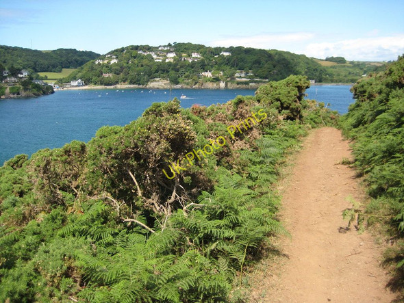 Photo 6"x4" The coast path beside Salcombe Harbour Salcombe c2011
