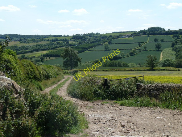 Photo 6"x4" Track south of Povey Farm Birleyhay c2011
