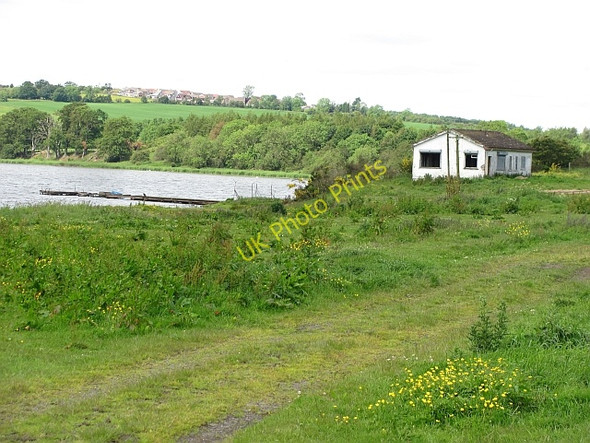 Photo 6"x4" Derelict hut, Loch Gelly Lochgelly c2011