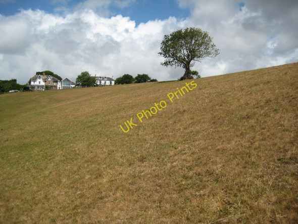 Photo 6"x4" Field at Strete Blackpool\/SX8547 c2011