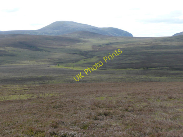 Photo 6"x4" Three trees on Bl\u00c3\u00a0r an Liana Mh\u00c3\u00b2ir Am Buachaille\/NN7494 c2011
