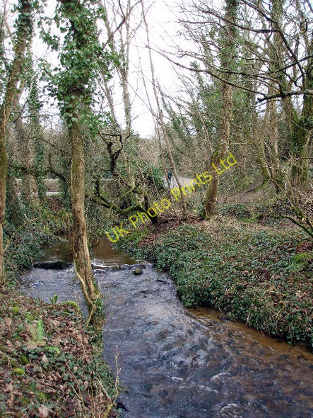 Photo 6"x4" Mill stream at Crean Mill Crean c2006