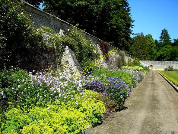 Photo 6"x4" Herbaceous border in the walled garden at Novar House Evanton\/Baile-Eoghain c2011