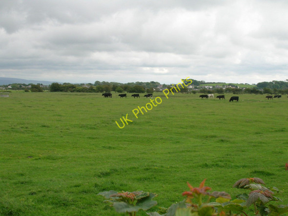 Photo 6"x4" Farmland, Dawny Field Overton\/SD4358 c2011