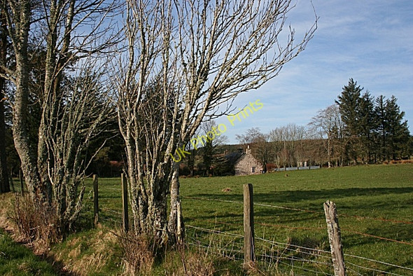 Photo 6"x4" Burn of Aultmore Glen of Newmill c2008