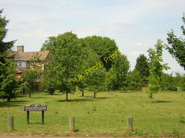 Photo 6"x4" Roxton: Millennium Green Roxton c2011
