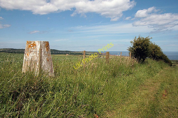 Photo 6"x4" The triangulation pillar at Alemill Coldingham c2011