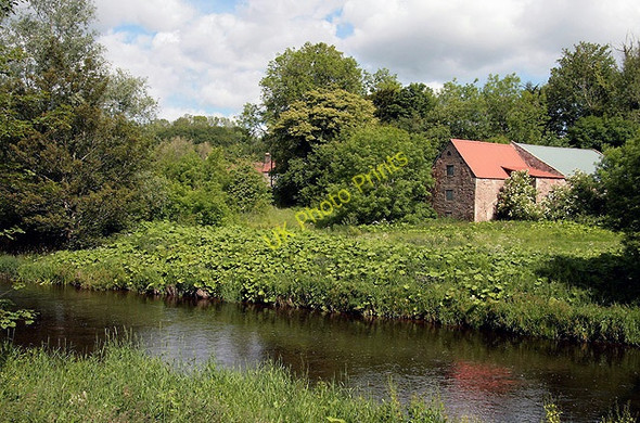 Photo 6"x4" The Whiteadder Water Paxton c2011 P1