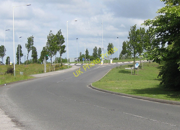 Photo 6"x4" Roundabout off the A67 Oak Tree\/NZ3513 c2011