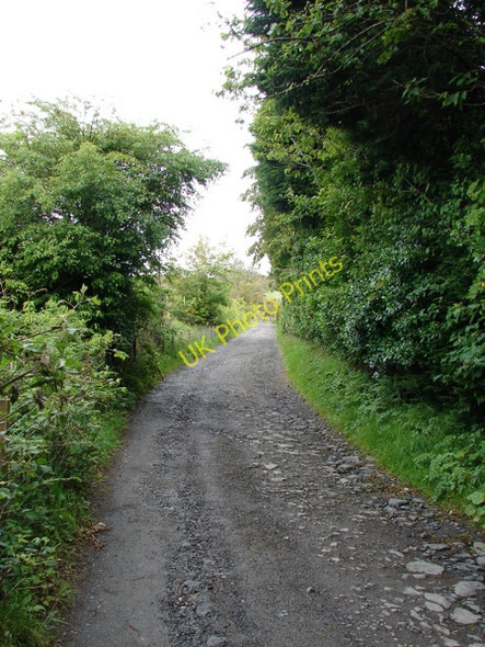 Photo 6"x4" Track off Cloch Road Levan c2011