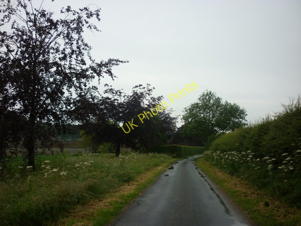 Photo 6"x4" Bursea Lane towards Bursea Bursea c2011