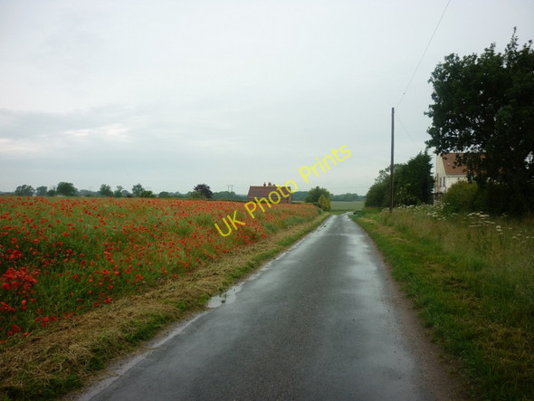Photo 6"x4" Bursea Lane, towards the A614 Bursea c2011