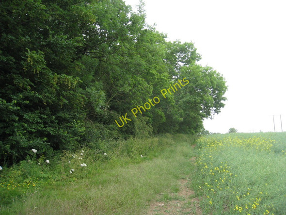 Photo 6"x4" Footpath alongside of May Wood Fotherby c2011