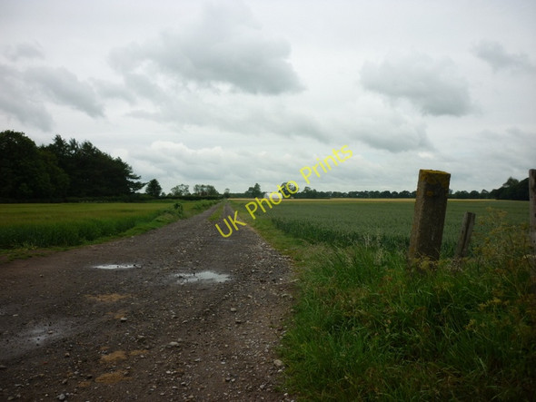 Photo 6"x4" The way to Crabtree Farm, near Escrick Deighton\/SE6244 c2011