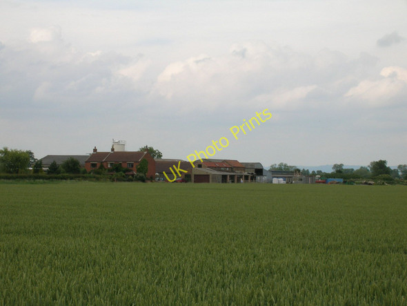 Photo 6"x4" Low House Farm Grafton\/SE4163 c2011