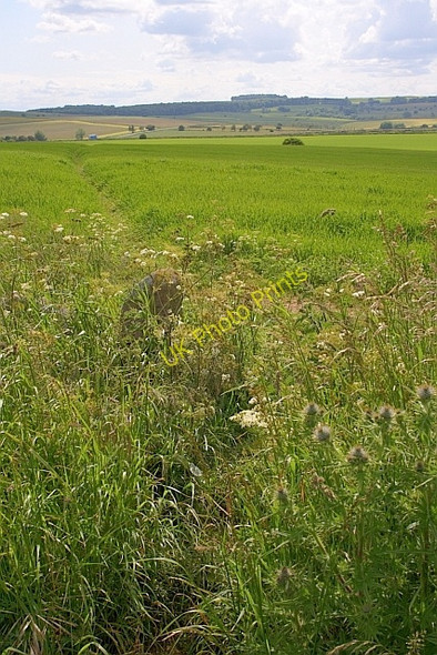 Photo 6"x4" Elton Common Elton\/SK2260 c2011