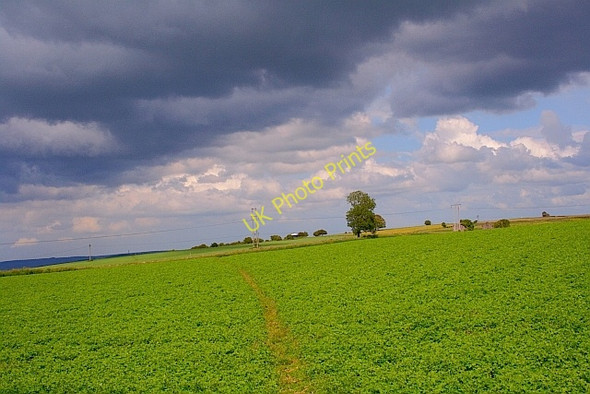 Photo 6"x4" Elton Common Elton\/SK2260 c2011 P1