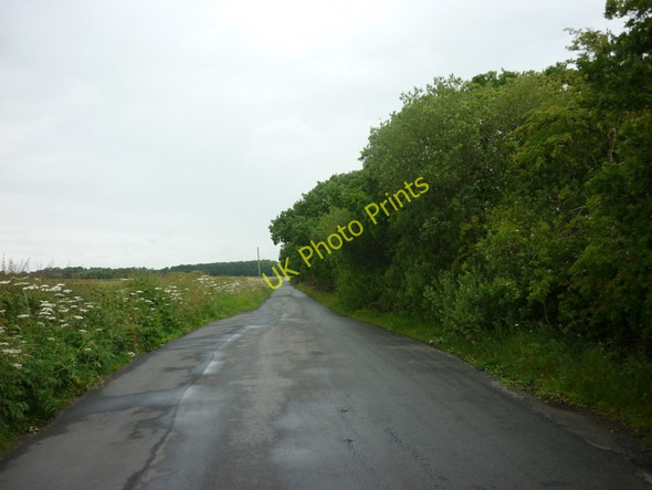 Photo 6"x4" Carr Lane towards Sutton-on-the-Forest Sutton-on-the-Forest c2011