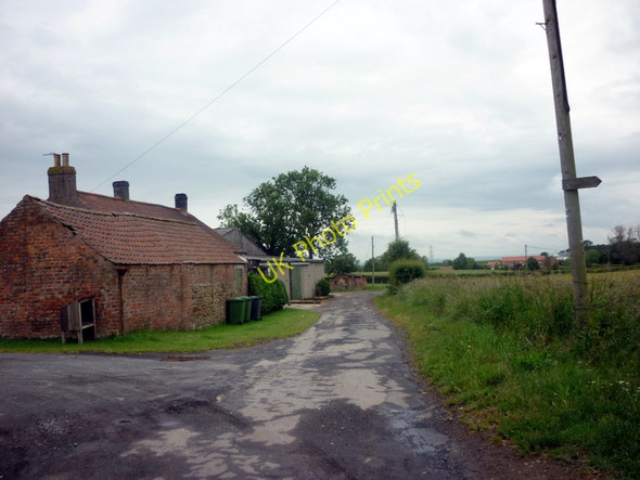 Photo 6"x4" Daffy Lane at Park House Crayke c2011