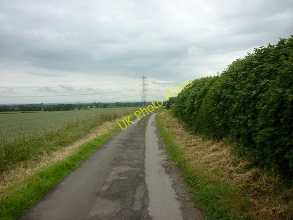 Photo 6"x4" Daffy Lane towards Crayke Lodge Easingwold c2011