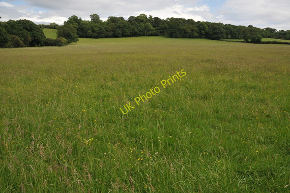 Photo 6"x4" Field near Muzzy Hill Edgiock c2011