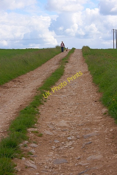 Photo 6"x4" Farm Track , Elton Common Dale End\/SK2161 c2011