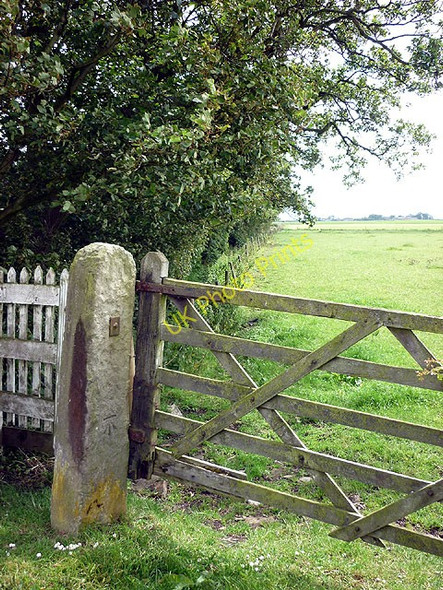 Photo 6"x4" Bench mark on gatepost, Bone Hill Lane Eagland Hill c2011