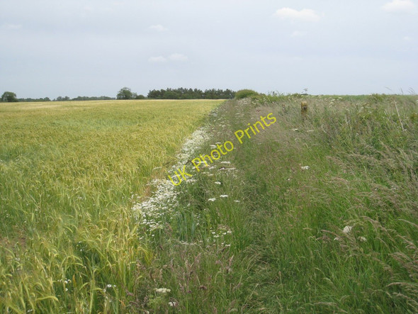 Photo 6"x4" The footpath to Grimoldby South Cockerington c2011