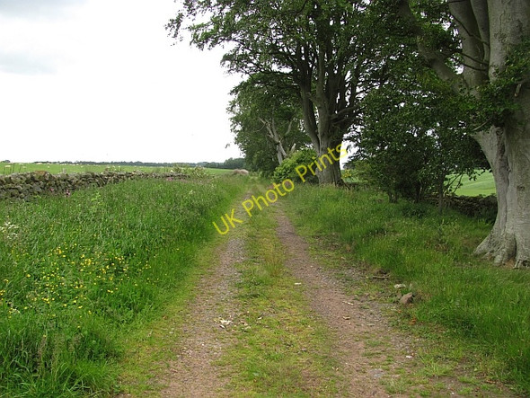 Photo 6"x4" Road by Chesters Polwarth c2011