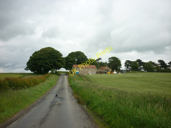 Photo 6"x4" Silver Hill Farm Murton Grange\/SE5388 c2011