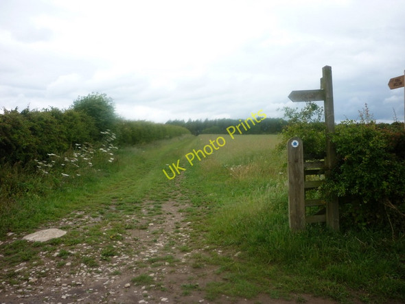 Photo 6"x4" A bridleway to Hold Caldron Beadlam c2011