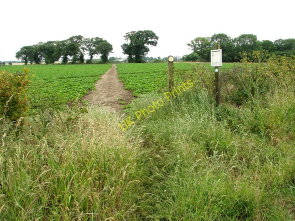Photo 6"x4" Public footpath from Filby to Mautby Mautby c2011