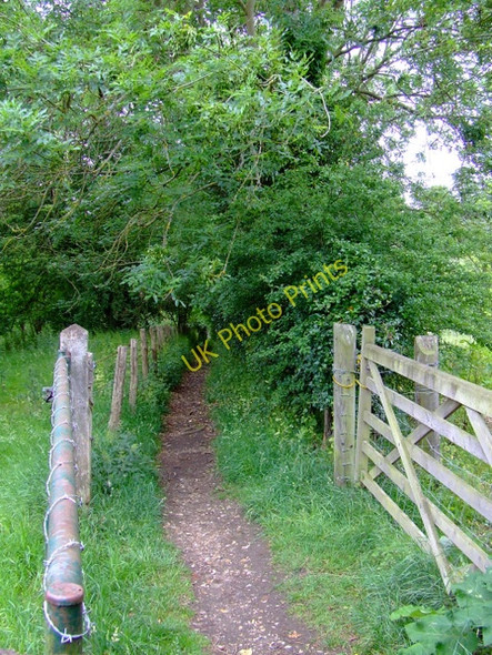Photo 6"x4" Footpath to Gall End Stansted Mountfitchet c2011 P1