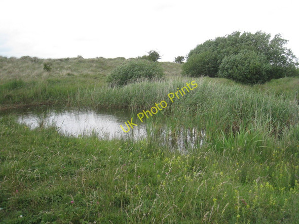 Photo 6"x4" Pond in the dunes Rimac c2011