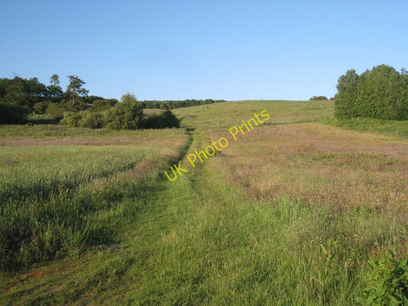 Photo 6"x4" Track near Audelby Clixby c2011