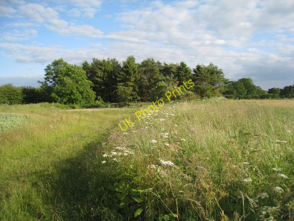 Photo 6"x4" Plantation by Station Road North Kelsey Moor c2011