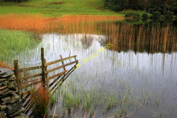 Photo 6"x4" Fence, Bigland Tarn Backbarrow c2008