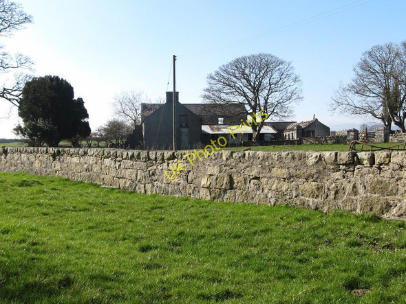 Photo 6"x4" Derelict farmstead on Sabbath Hill Ballymartin c2011